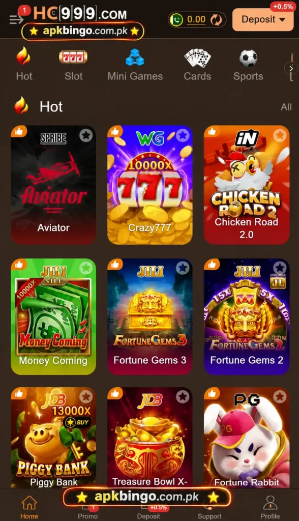 HC999 Game